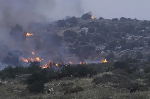 İsrail yanıyor! Uluslararası yardım yolda: Yerleşim yerleri boşaltılıyor